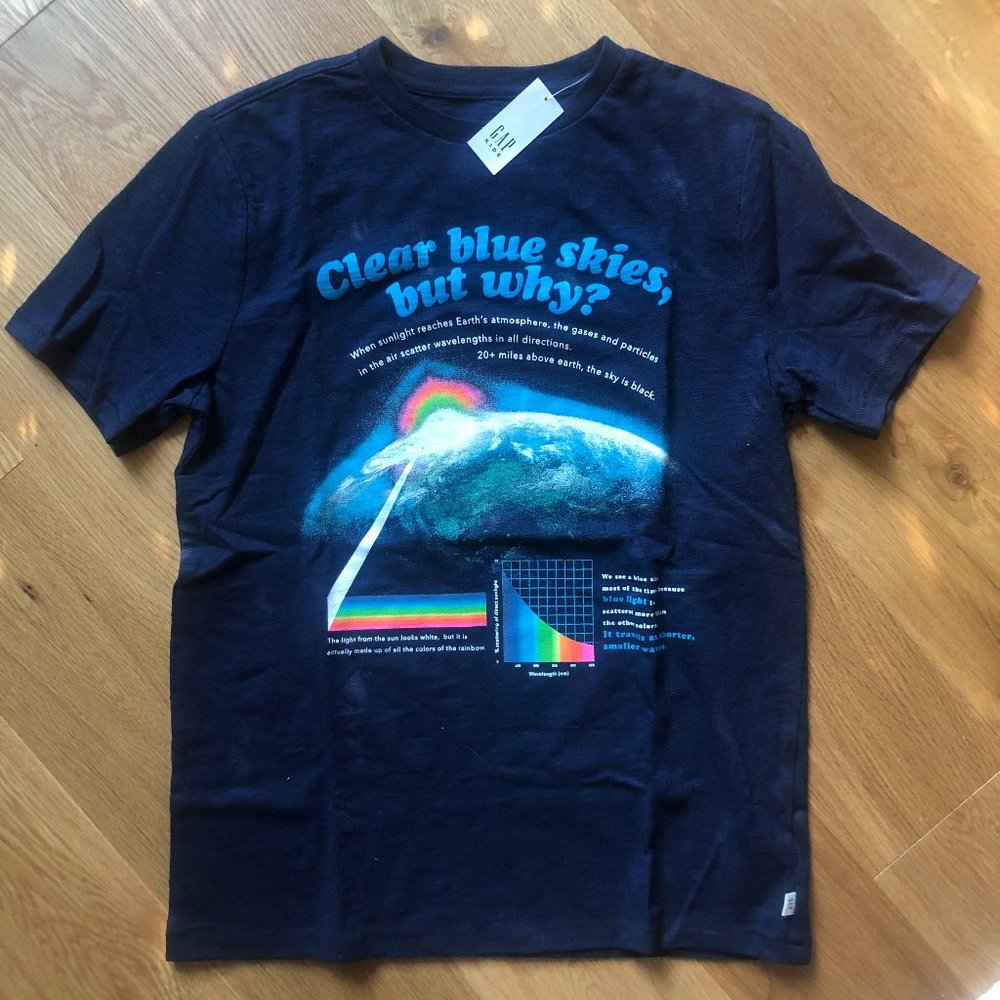 NWT GapKids t-shirt - "Clear blue skies, but why?" - size XXL